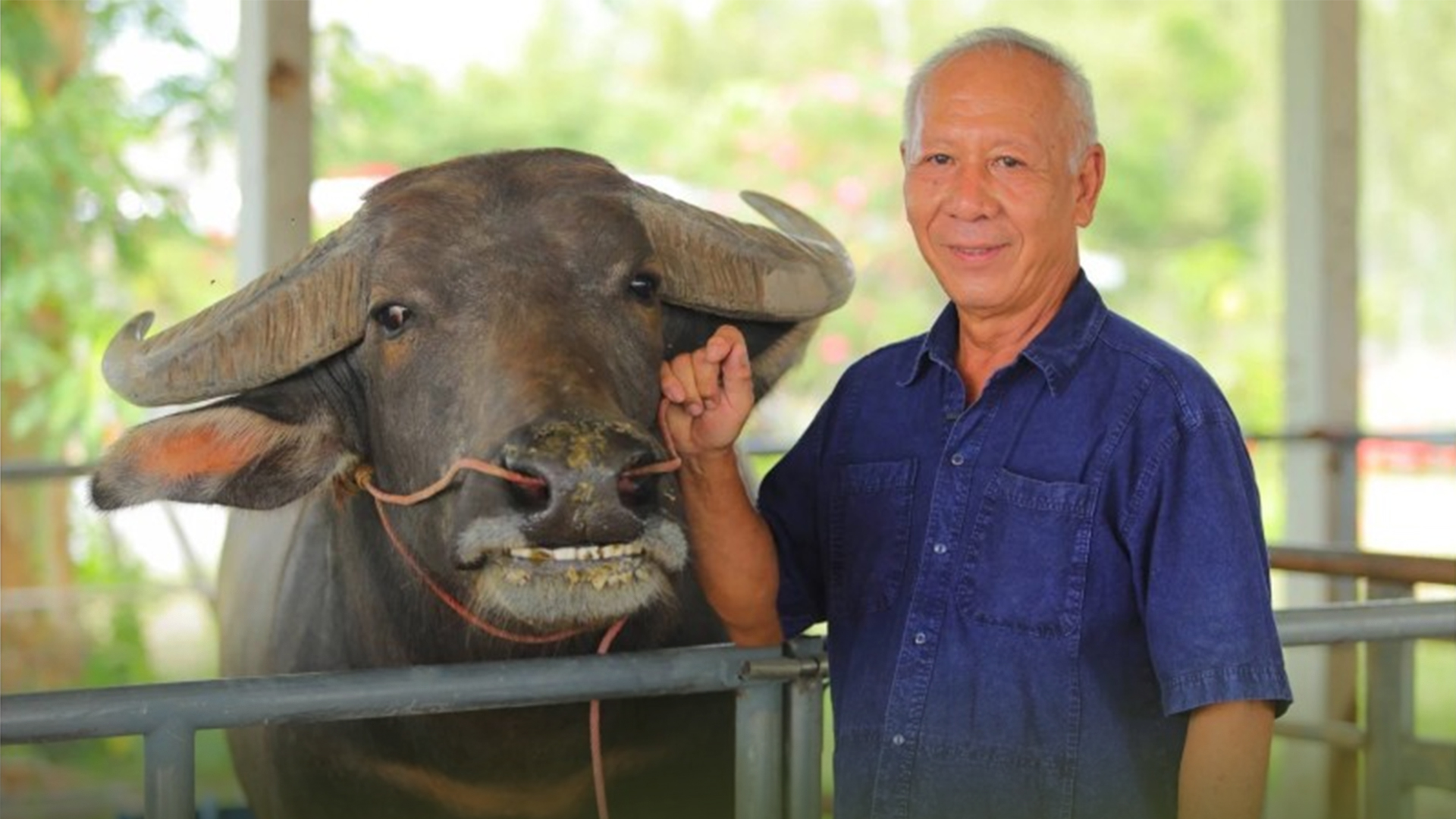 กรม2 6