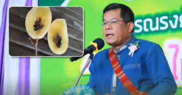 กสก2 1
