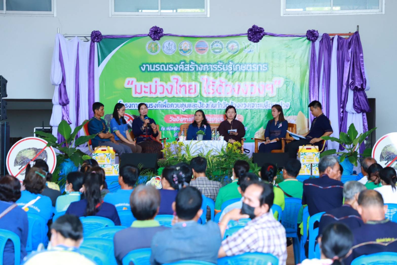 ด้วงงวง 4