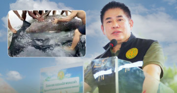 ธรรม2 4