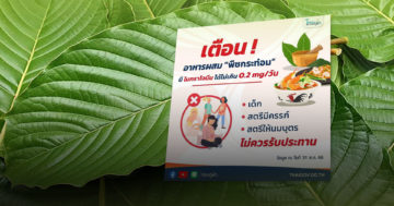 พืชกระท่อม3