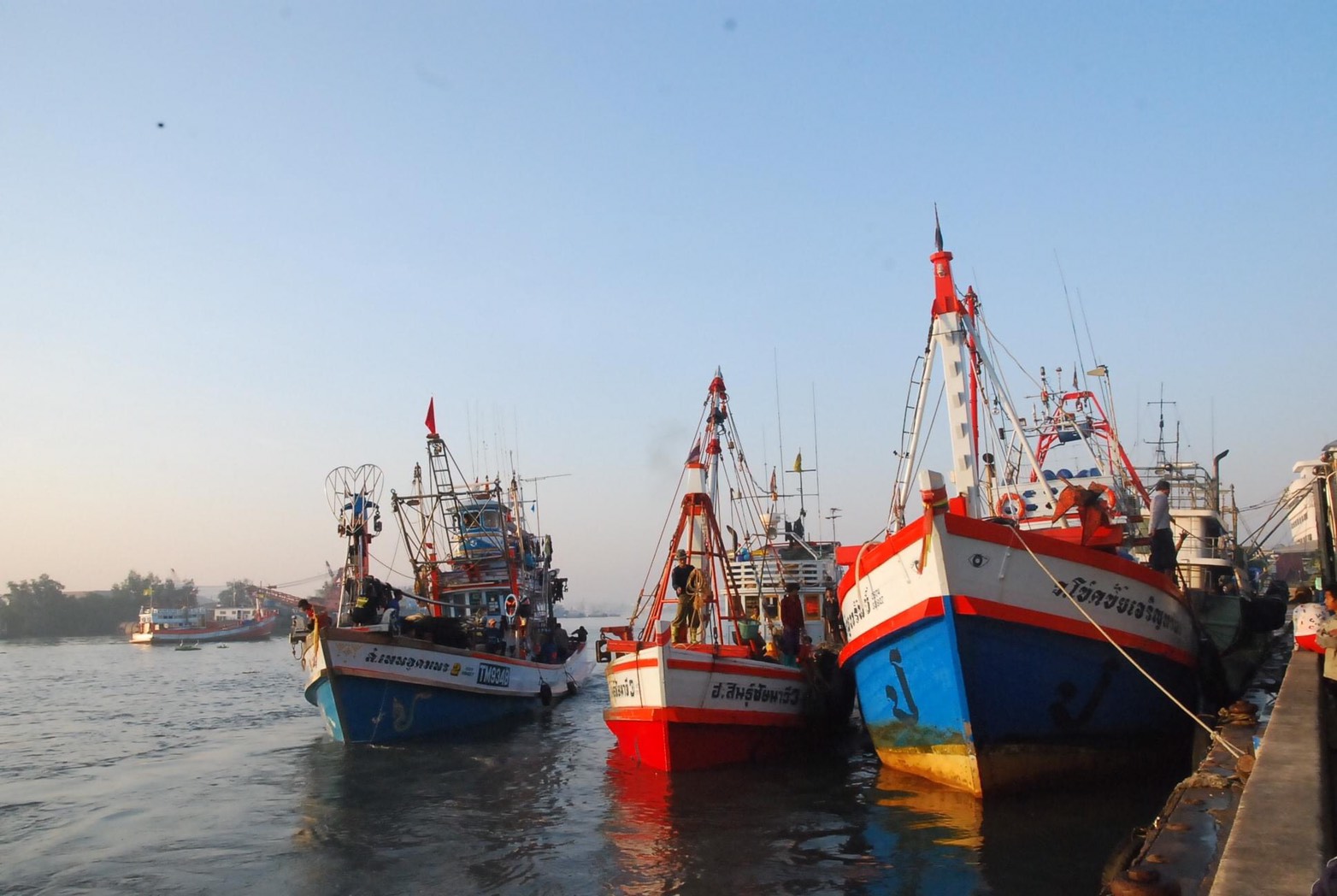 อสป.จับมือเซ็น MOU กับ หอการค้าไทย และสภาหอการค้าแห่งประเทศไทยเพื่อดำเนินโครงการส่งเสริมการส่งออกผลิตภัณฑ์สินค้าสัตว์น้ำไทยและผลิตภัณฑ์สินค้าสัตว์น้ำแปรรูปออกสู่ตลาดจีนตอนใต้ 5 ภาพอสป6