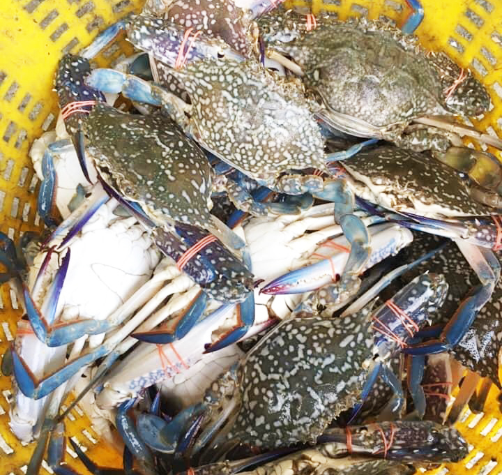 อสป.จับมือเซ็น MOU กับ หอการค้าไทย และสภาหอการค้าแห่งประเทศไทยเพื่อดำเนินโครงการส่งเสริมการส่งออกผลิตภัณฑ์สินค้าสัตว์น้ำไทยและผลิตภัณฑ์สินค้าสัตว์น้ำแปรรูปออกสู่ตลาดจีนตอนใต้ 6 ภาพอสป7