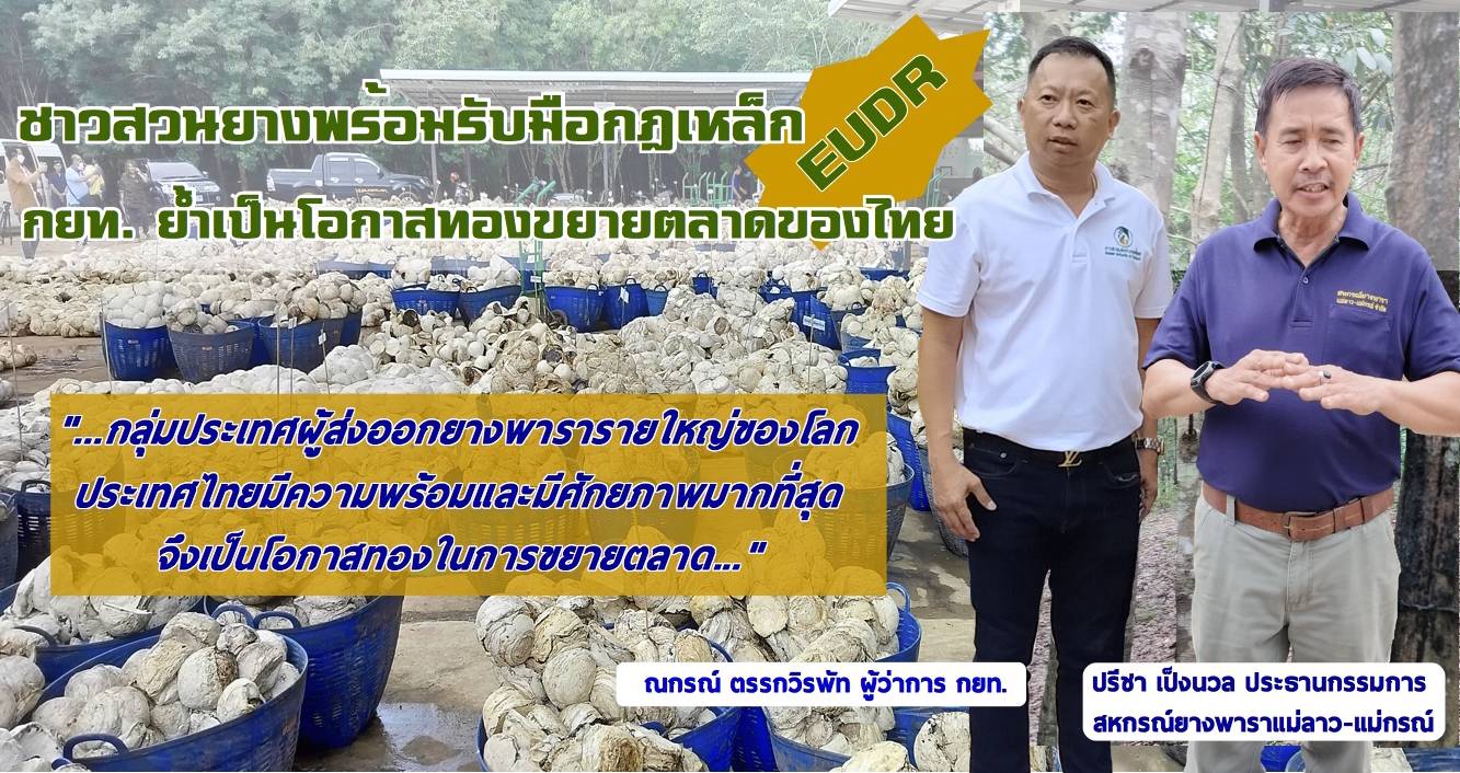 ยาง2