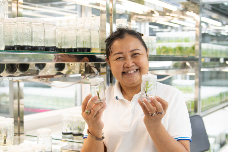 ยี่โถ