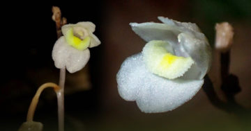 รู้2
