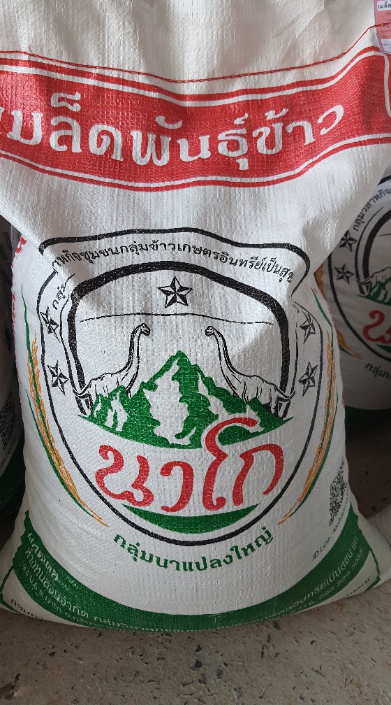 วิส