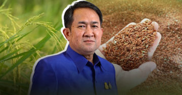 ข้าวสังห์หยดอินทรีย์3