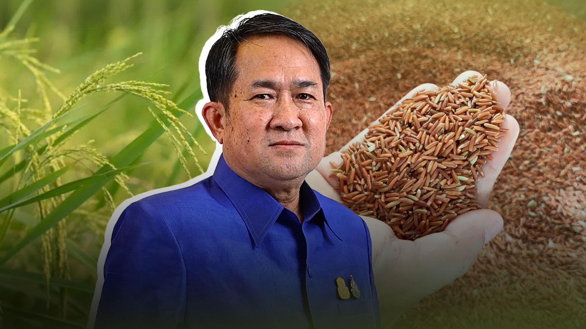 ข้าวสังห์หยดอินทรีย์3