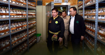 ธนาคารเชื้อพันธุ์ข้าว3