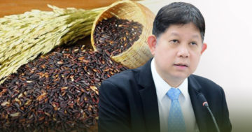พา2 3