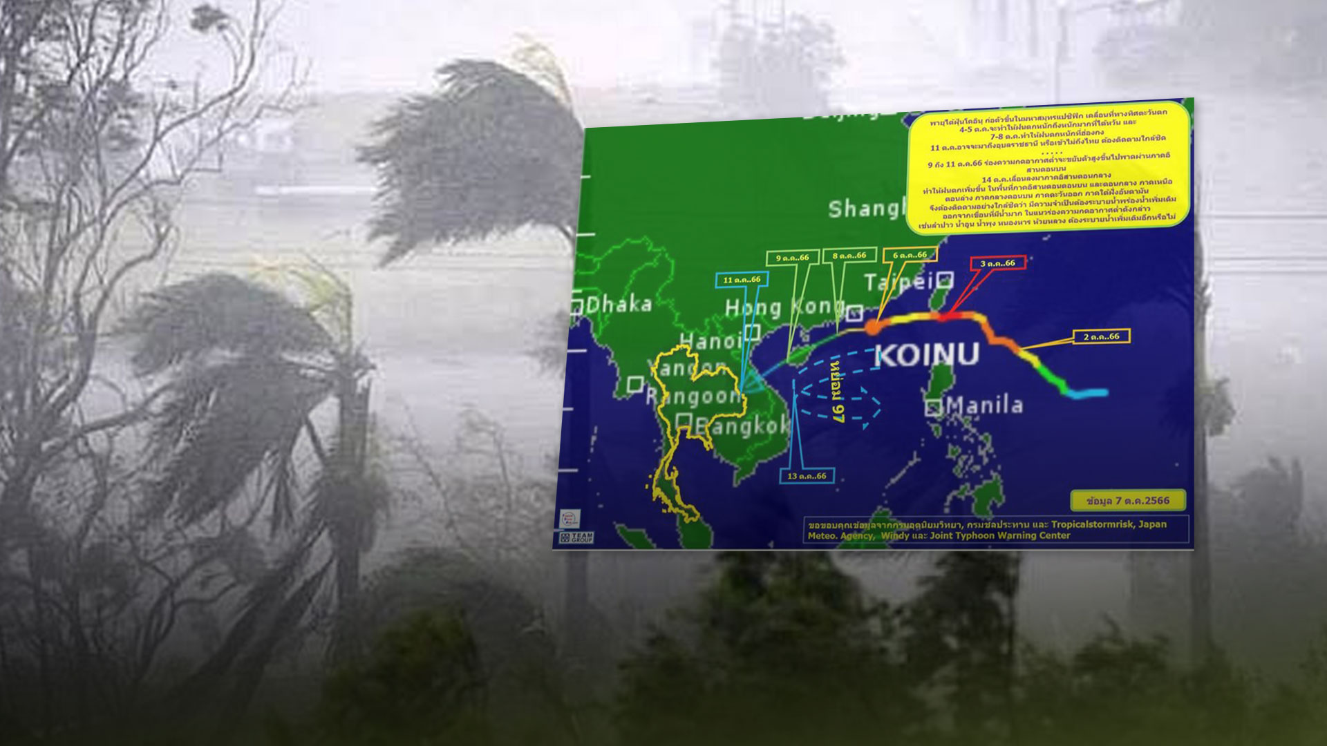 พายุโคอินุ3