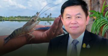 เพาะเลี้ยงกุ้ง3