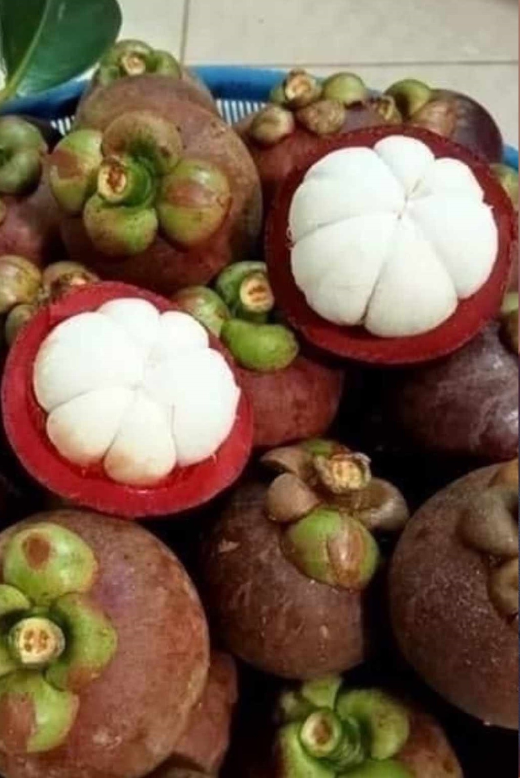 ๆ