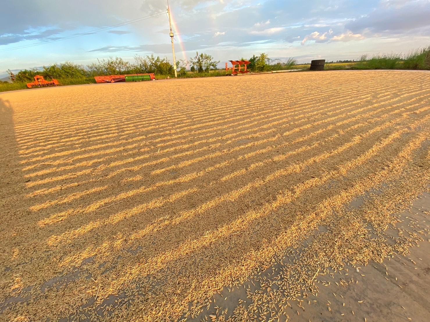 S 165798044