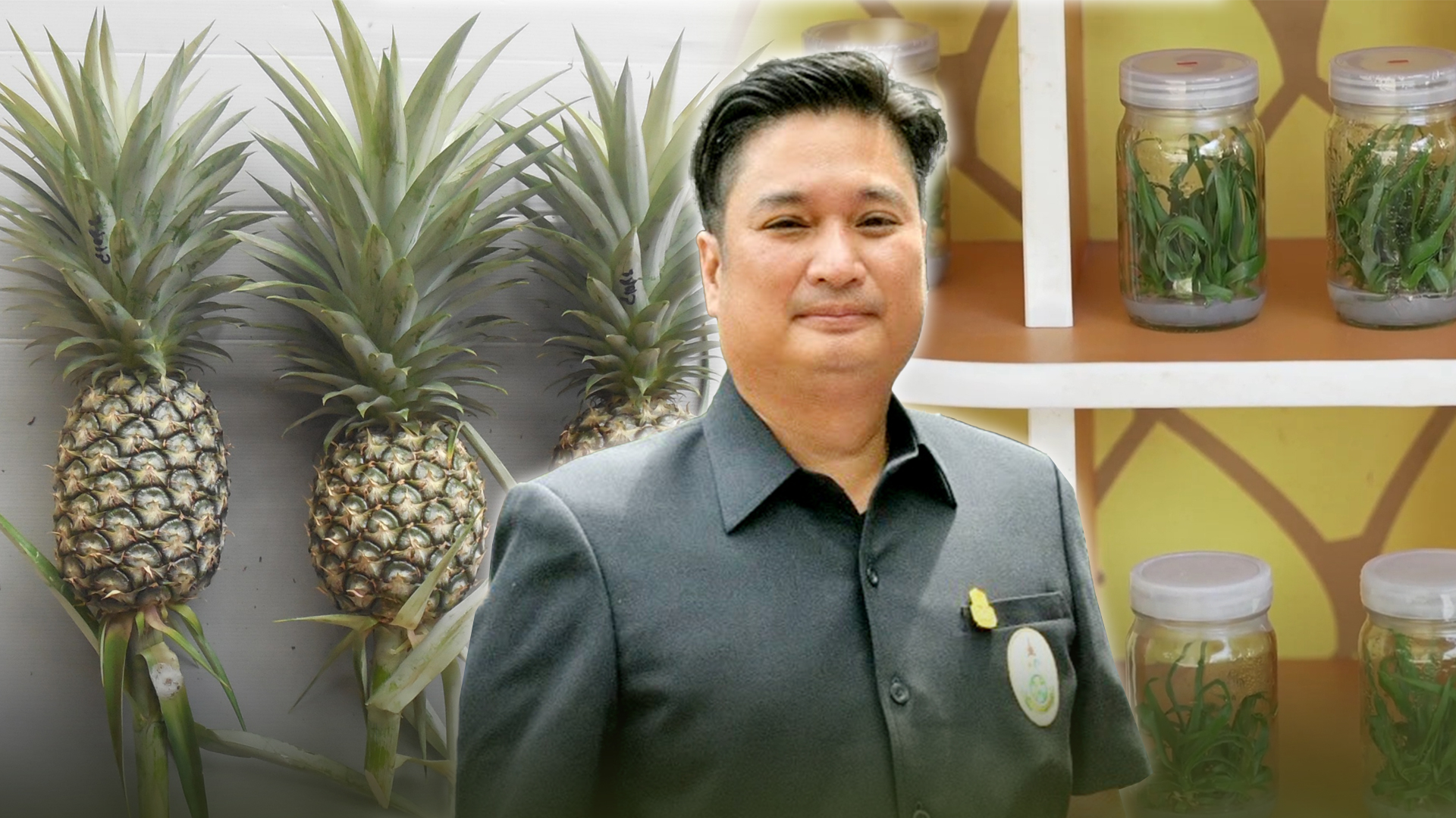 กรม 1