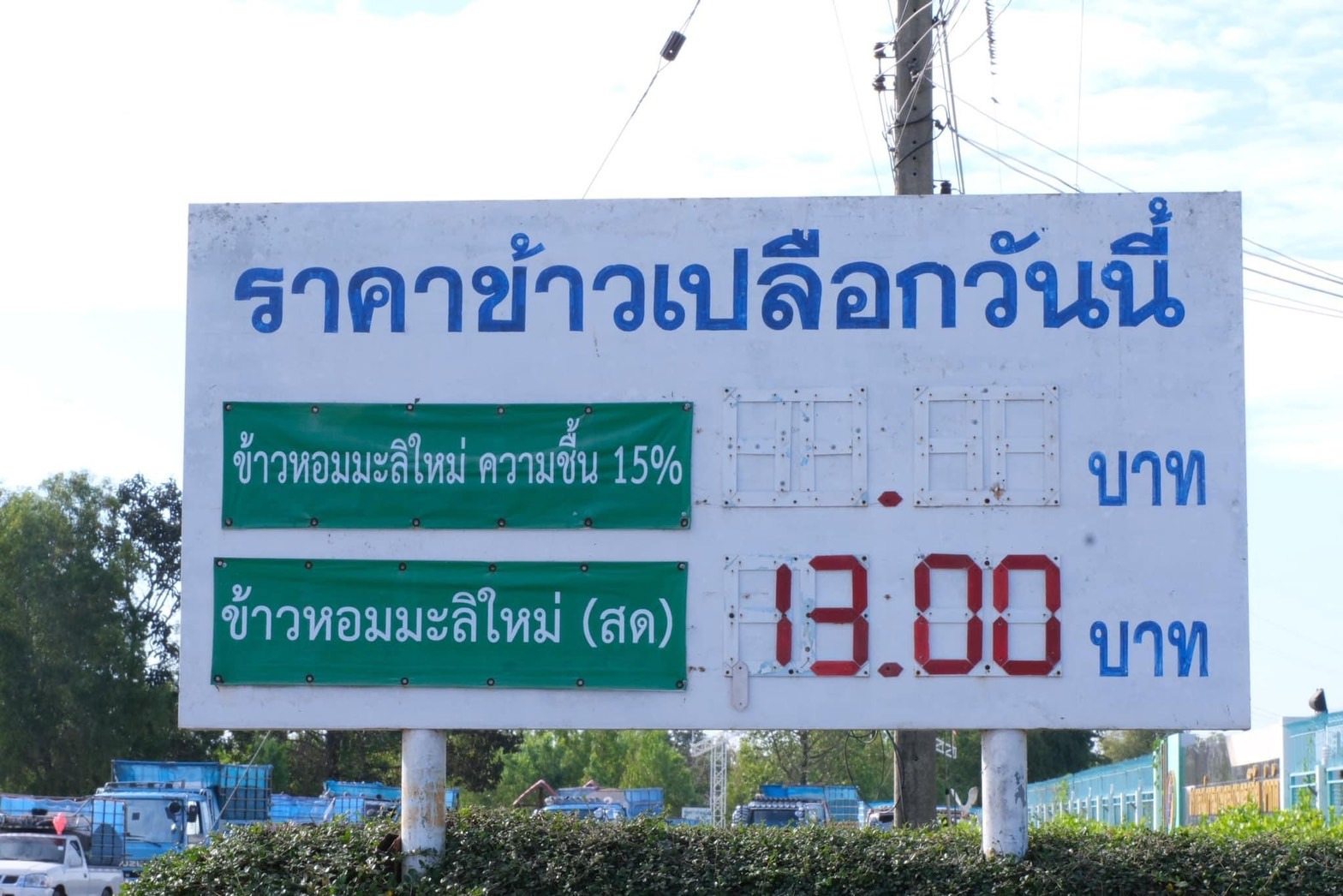 ข้าวเปลือก 1