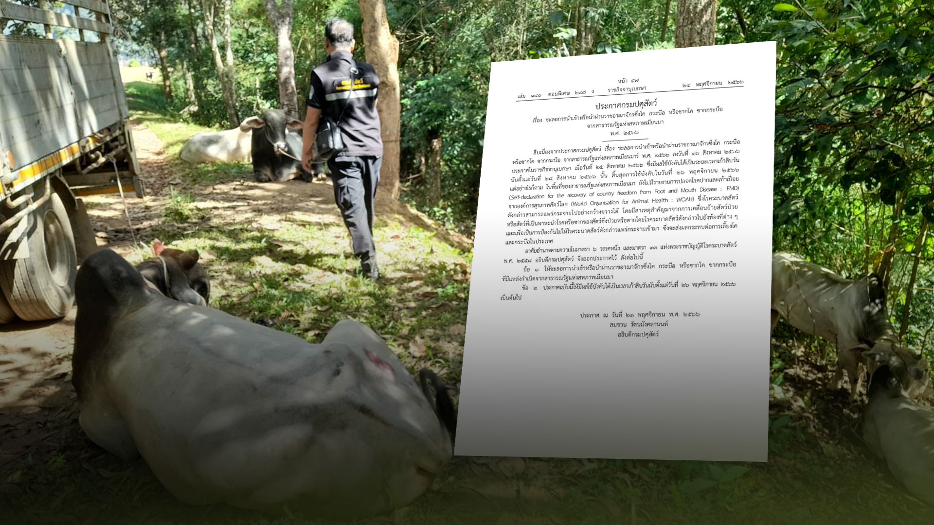 ประกาศ3