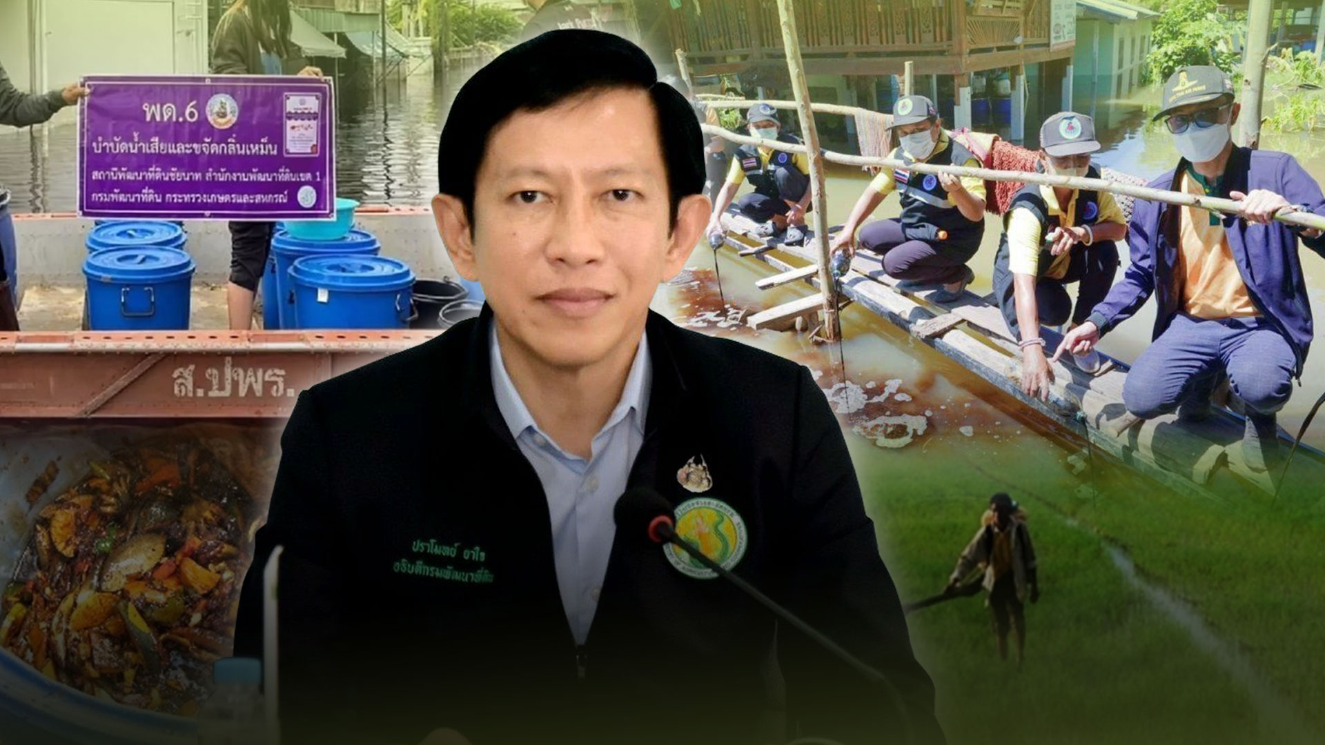 พด6 3