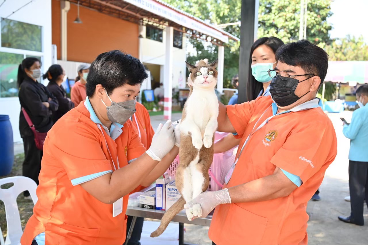 ภาพปศ2