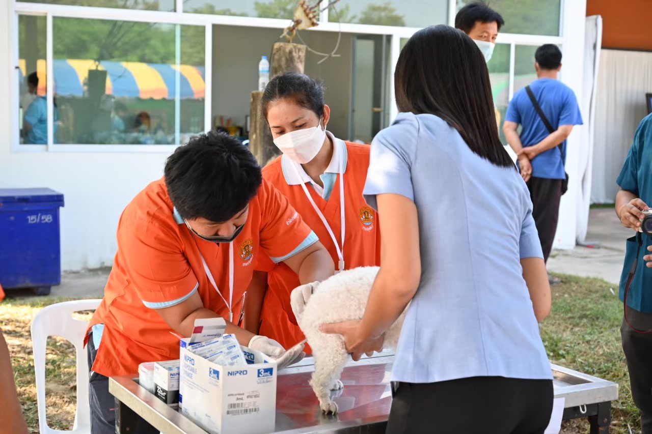 ภาพปศ4