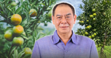 ส้ม