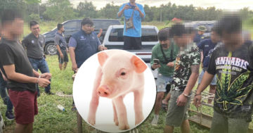 หมู2