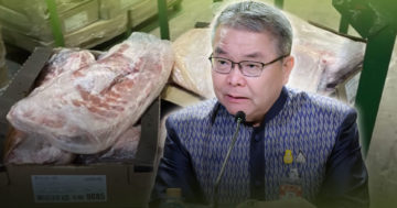 เนื้อวัวเถื่อน3