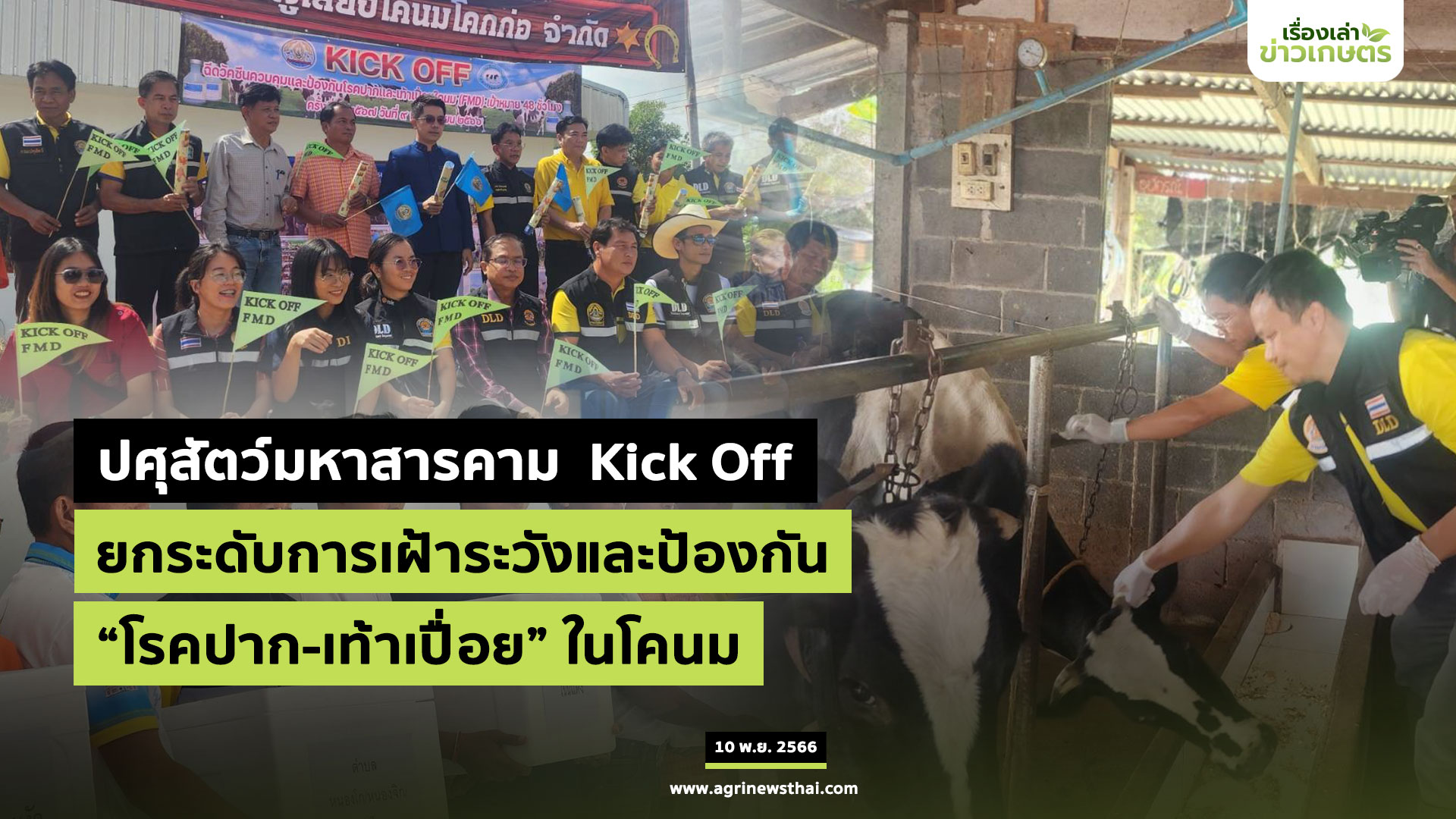 โรคปากเท้าเปื่อย2