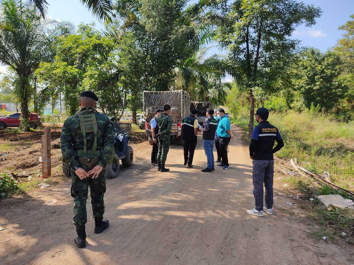 กรมวิชาการเกษตร สั่งเข้ม สารวัตรเกษตรคุมเข้มยางลักลอบ นำเข้า-นำผ่านผิดกฎหมาย พร้อมปฏิบัติการยึดของกลางน้ำหนักถึง 30 ตัน 8 2b89daef a3c6 44f7 95be 39807c375d9e