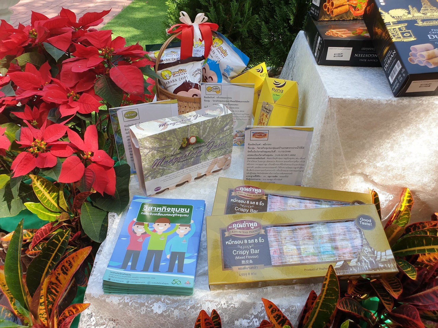 กรมส่งเสริมการเกษตร เตือนเกษตรกรต่อทะเบียนวิสาหกิจชุมชนและเครือข่ายวิสาหกิจชุมชน ประจำปี 2567 ช่วยรักษาสิทธิ์ รับการส่งเสริมและสนับสนุนจากภาครัฐ 6 4 8