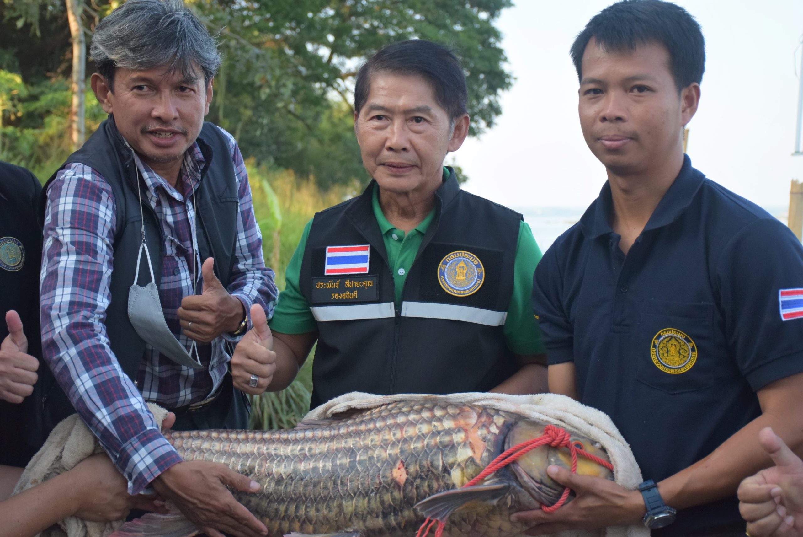 กรมประมง…ย้ำชัด “ยี่สก” ต้องไม่หายไปจากลุ่มน้ำโขงจัดทีมตั้งแคมป์รวบรวมพ่อแม่พันธุ์จากธรรมชาติเพื่อเร่งเพิ่มผลผลิตลูกพันธุ์ปล่อยฟื้นคืนสมดุลสู่ระบบนิเวศอย่างยั่งยืน 3 DSC 0079 scaled