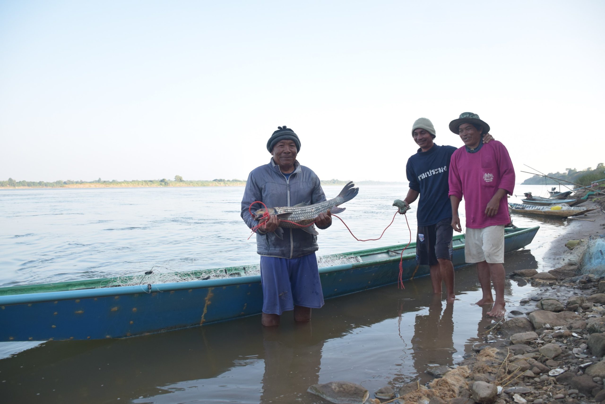 กรมประมง…ย้ำชัด “ยี่สก” ต้องไม่หายไปจากลุ่มน้ำโขงจัดทีมตั้งแคมป์รวบรวมพ่อแม่พันธุ์จากธรรมชาติเพื่อเร่งเพิ่มผลผลิตลูกพันธุ์ปล่อยฟื้นคืนสมดุลสู่ระบบนิเวศอย่างยั่งยืน 6 DSC 0167 scaled