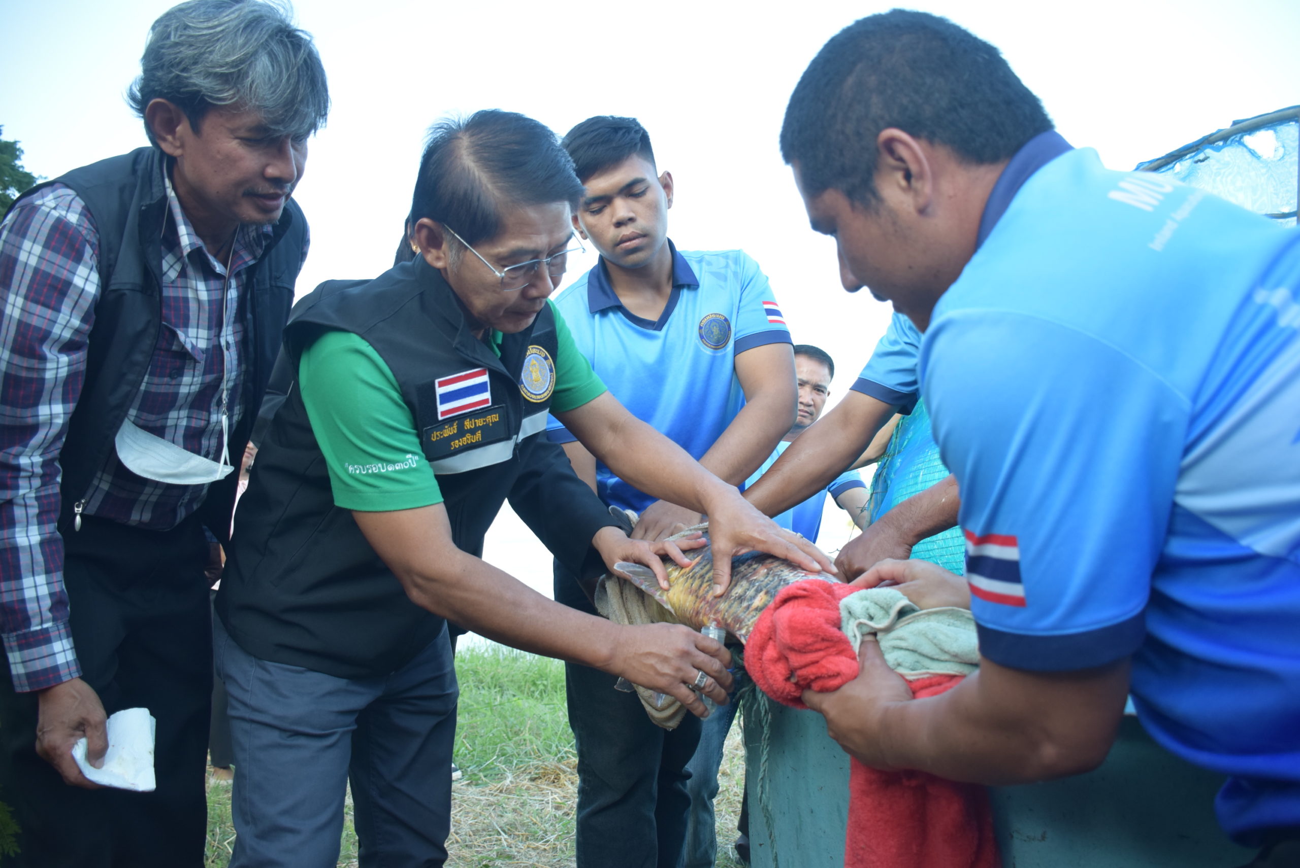 กรมประมง…ย้ำชัด “ยี่สก” ต้องไม่หายไปจากลุ่มน้ำโขงจัดทีมตั้งแคมป์รวบรวมพ่อแม่พันธุ์จากธรรมชาติเพื่อเร่งเพิ่มผลผลิตลูกพันธุ์ปล่อยฟื้นคืนสมดุลสู่ระบบนิเวศอย่างยั่งยืน 5 DSC 0270 scaled