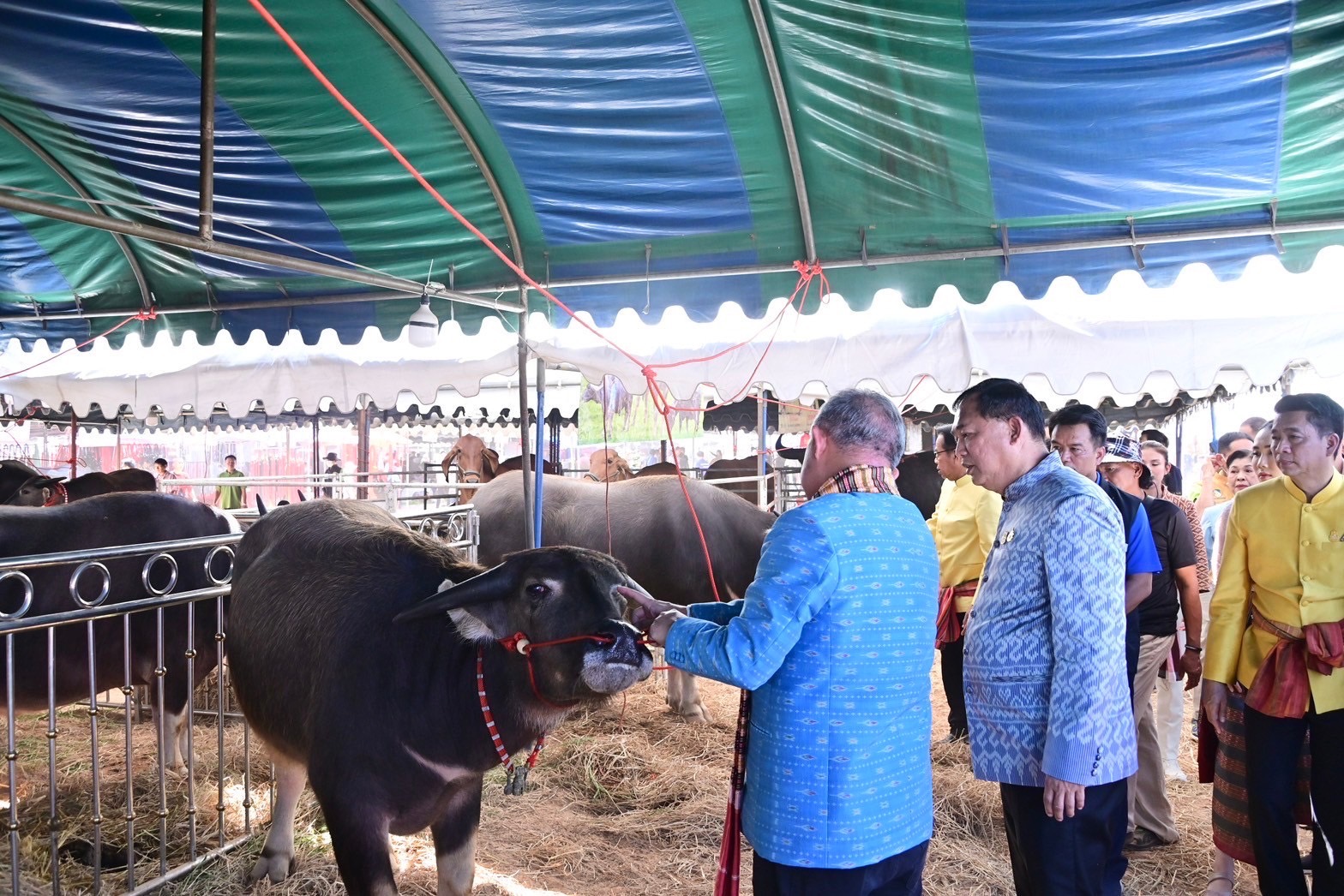 ’รมช.อนุชา‘ ดันอาชีพปศุสัตว์ สร้างเงินบาทแรกของแผ่นดิน ยกระดับเกษตรกรไทยสู่ความร่ำรวย 5 S 10690781