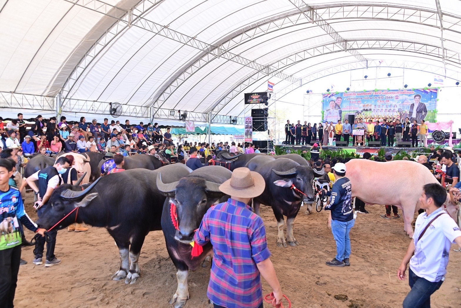 ’รมช.อนุชา‘ ดันอาชีพปศุสัตว์ สร้างเงินบาทแรกของแผ่นดิน ยกระดับเกษตรกรไทยสู่ความร่ำรวย 7 S 10690788
