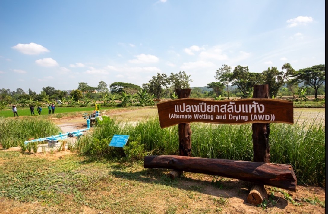 ขยายผลนาเปียกสลับแห้งขับเคลื่อนยุทธศาสตร์ BCG กรมชลฯหนุนนโยบายรัฐยกระดับคุณภาพชีวิตชาวนา 4 S 10944552