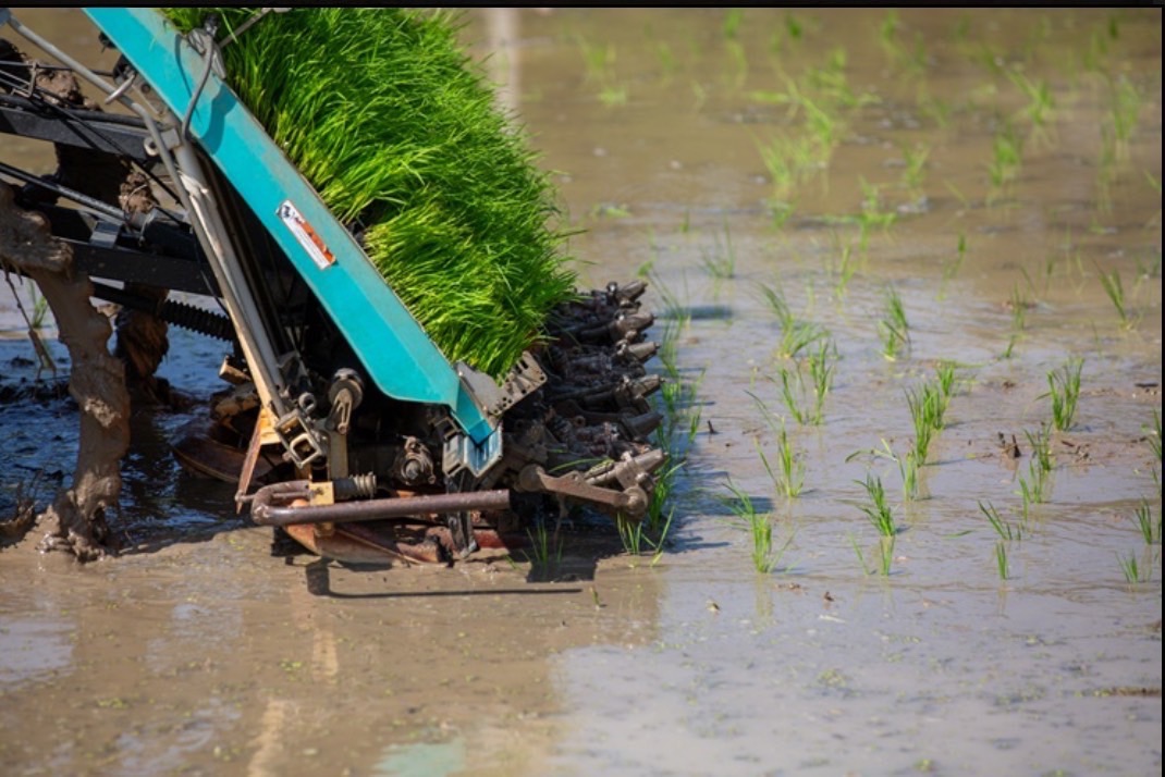 ขยายผลนาเปียกสลับแห้งขับเคลื่อนยุทธศาสตร์ BCG กรมชลฯหนุนนโยบายรัฐยกระดับคุณภาพชีวิตชาวนา 8 S 10944553