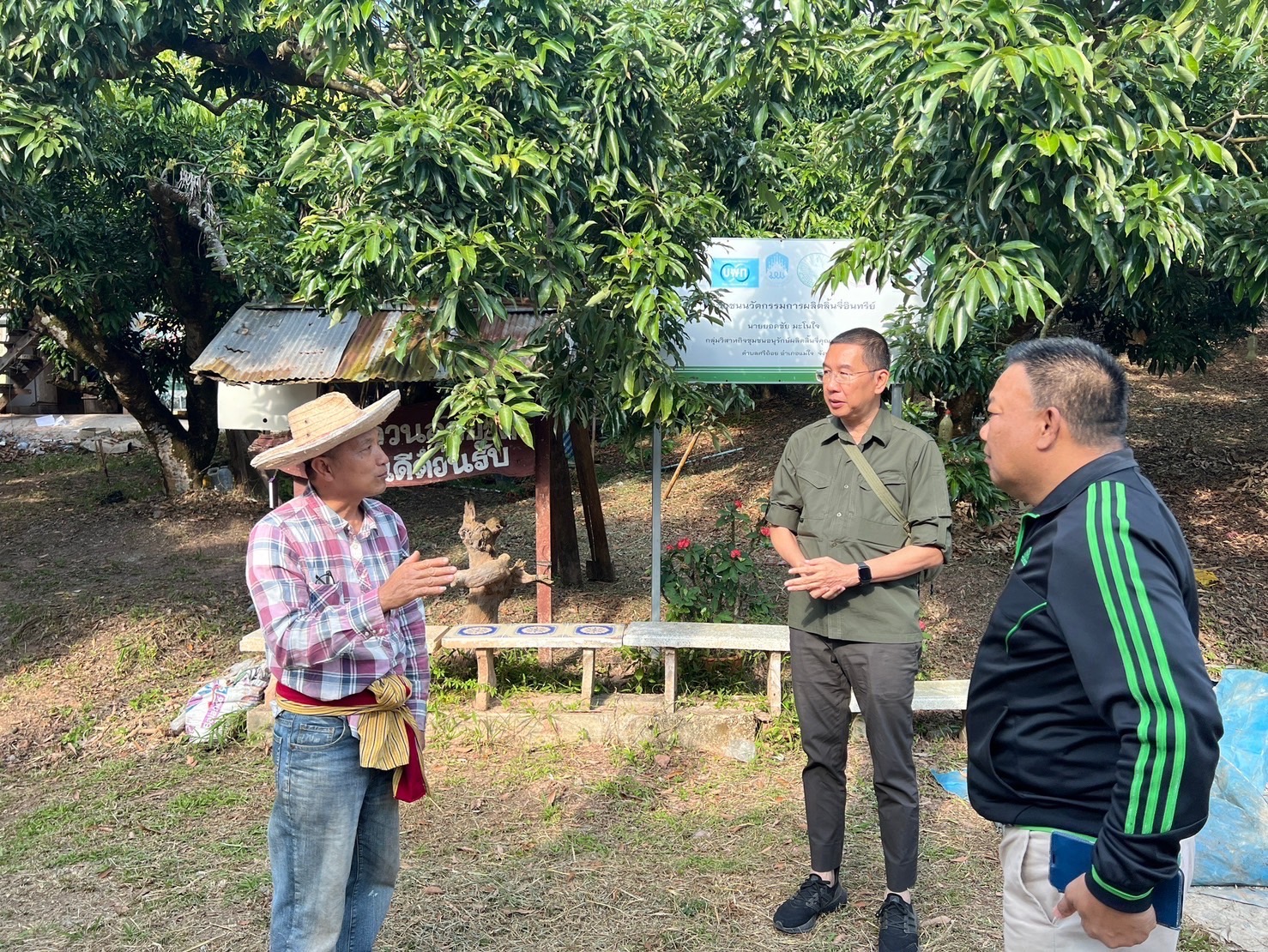 กรมส่งเสริมการเกษตรดันลิ้นจี่แม่ใจ หนึ่งในโครงการพะเยาโมเดลเน้นยกระดับสินค้าเกษตร เสริมศักยภาพเกษตรกร 4 S 267370499