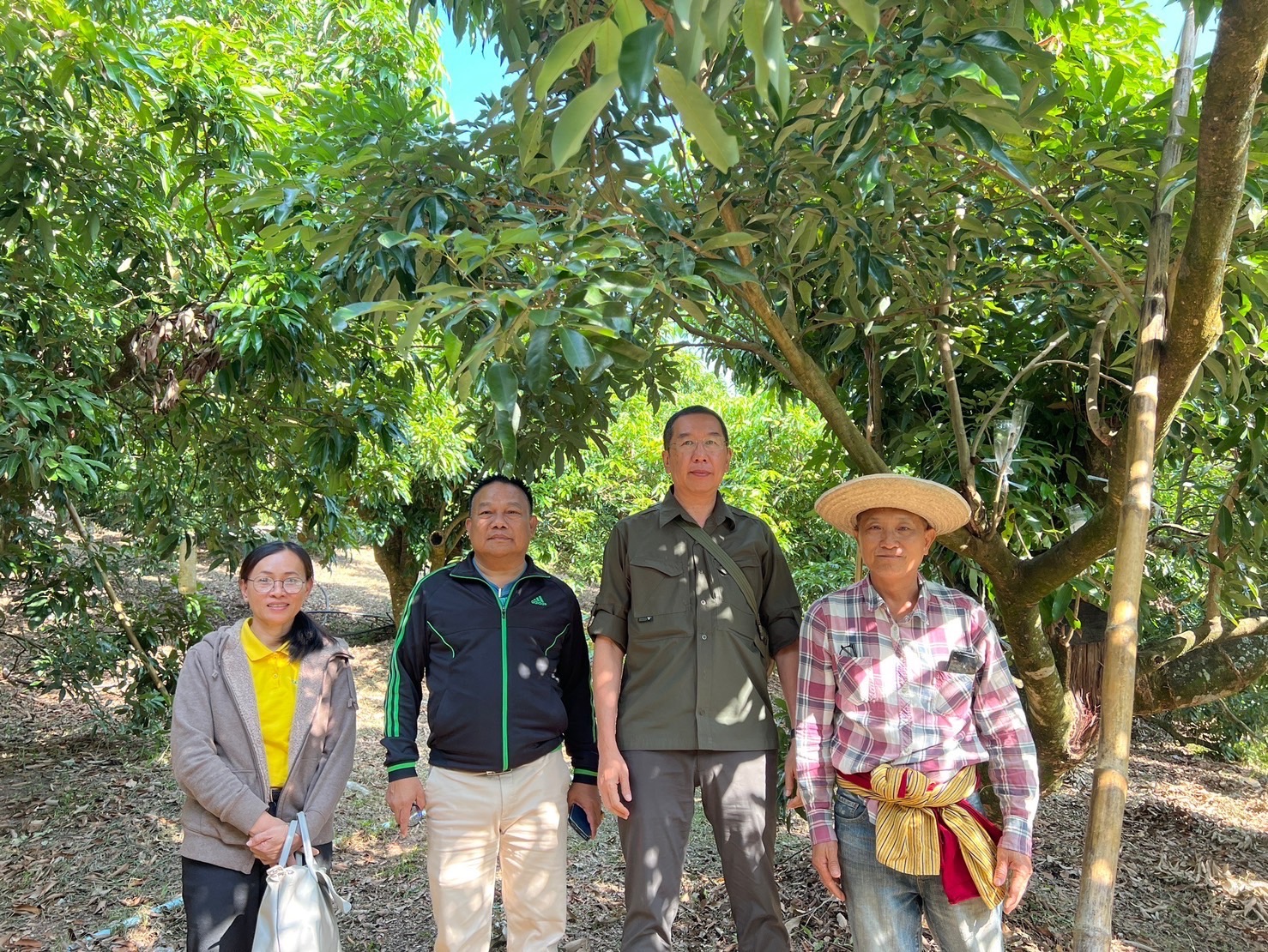 กรมส่งเสริมการเกษตรดันลิ้นจี่แม่ใจ หนึ่งในโครงการพะเยาโมเดลเน้นยกระดับสินค้าเกษตร เสริมศักยภาพเกษตรกร 5 S 267370501