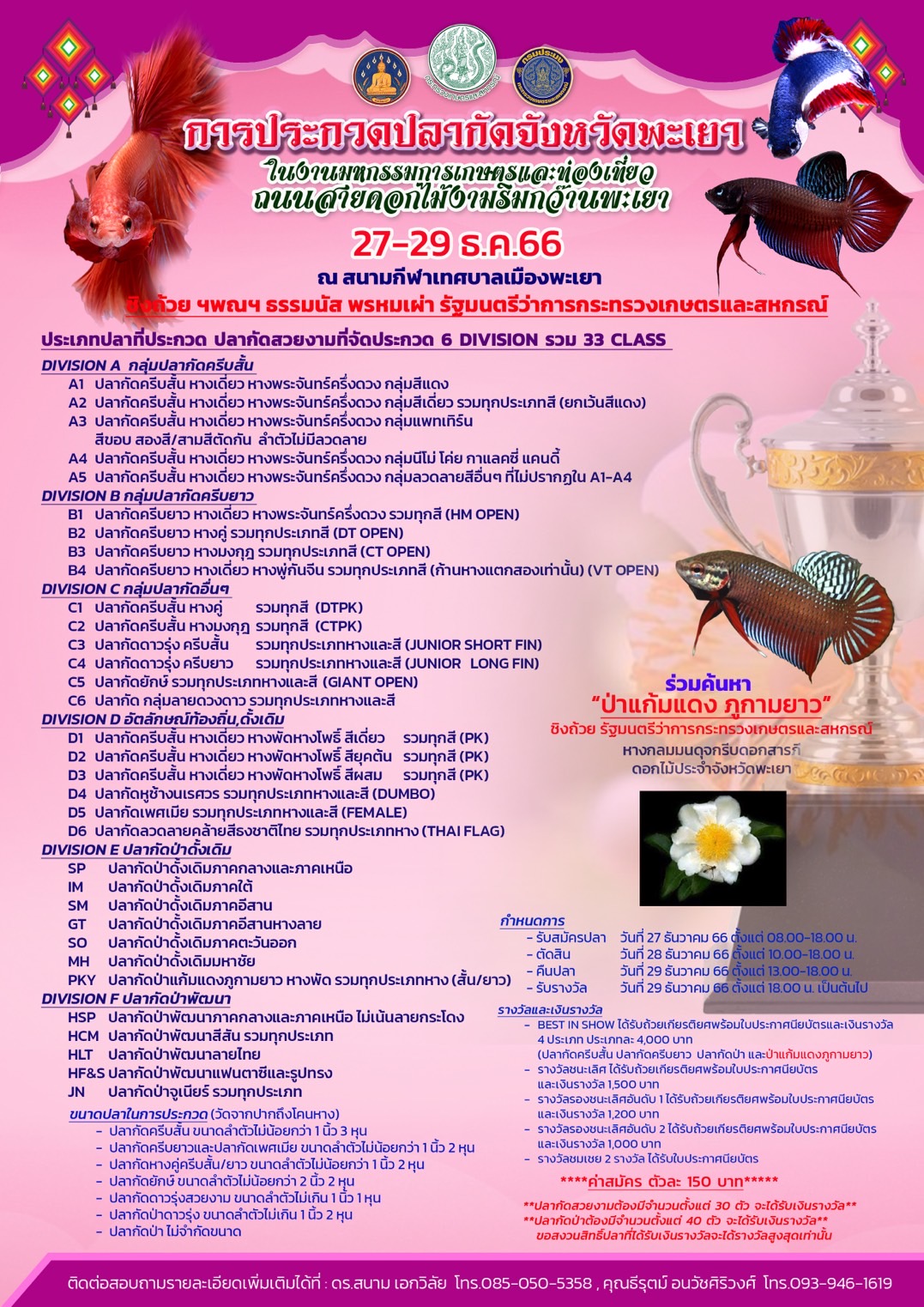 S 49209425