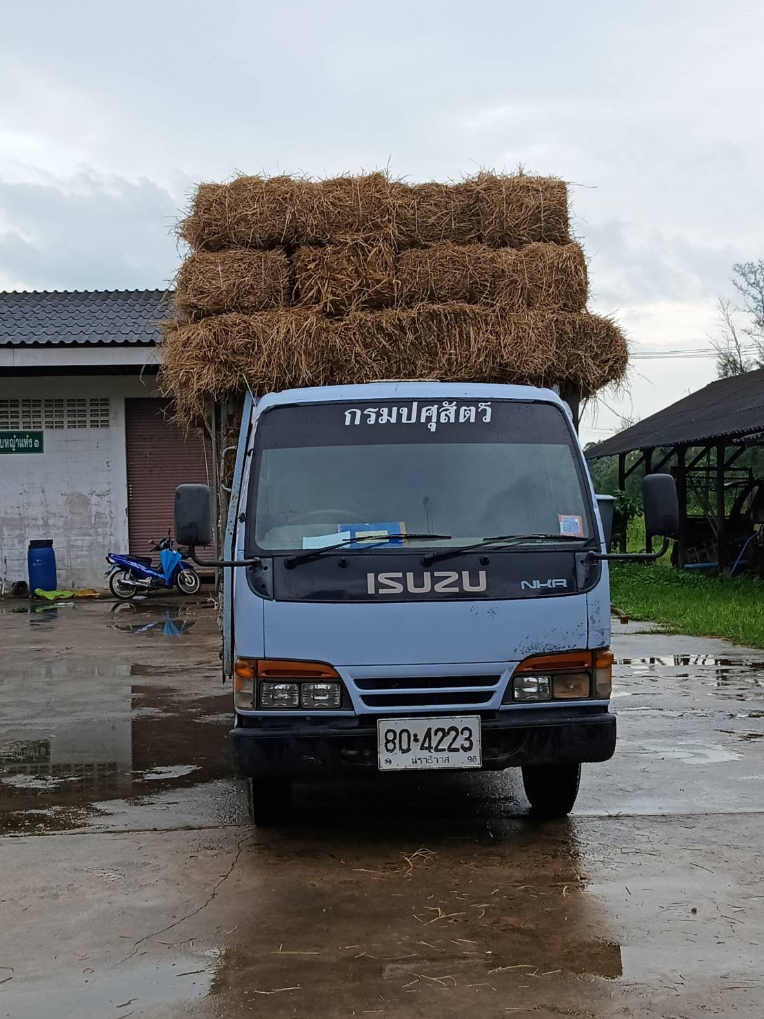 S 91799810