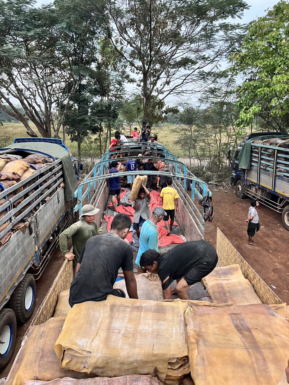กรมวิชาการเกษตร สั่งเข้ม สารวัตรเกษตรคุมเข้มยางลักลอบ นำเข้า-นำผ่านผิดกฎหมาย พร้อมปฏิบัติการยึดของกลางน้ำหนักถึง 30 ตัน 7 S 9904200