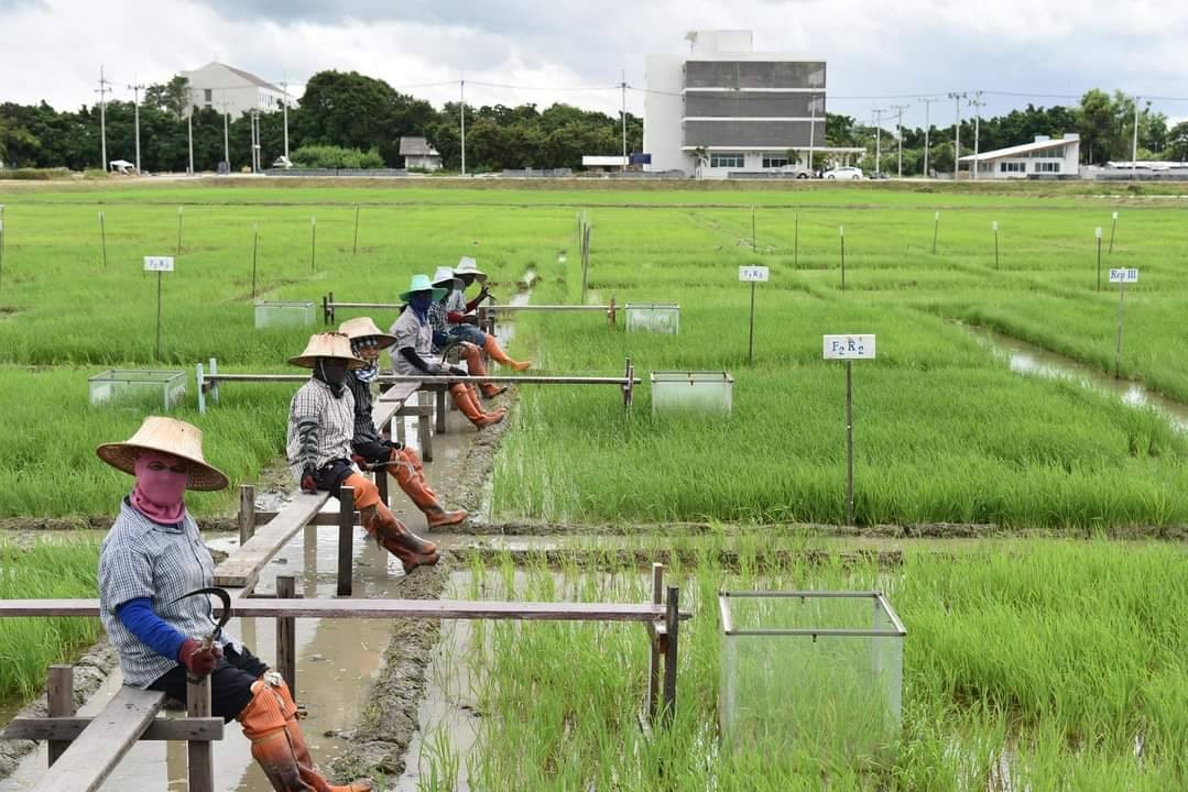 messageImage 1702872193775