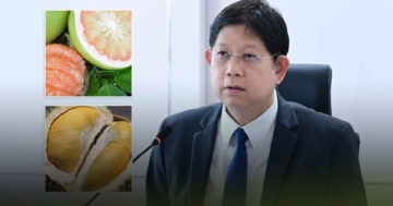 กรมการค้าตปท3