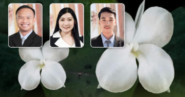 ดอก