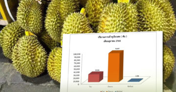 ทุเรียน