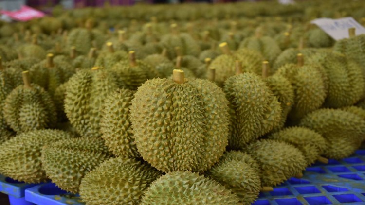 ทุเรียน 4