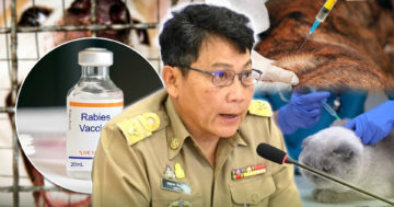 ปศุ2