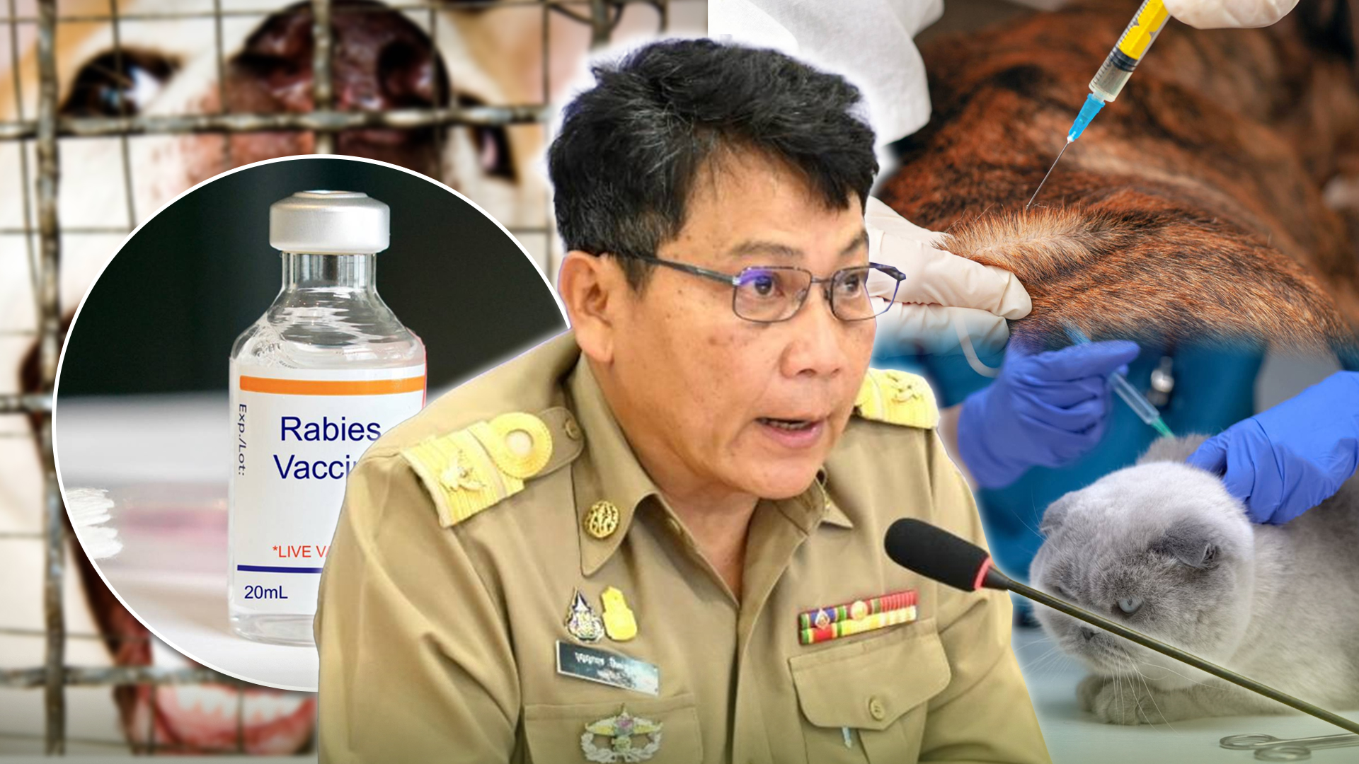 ปศุ2